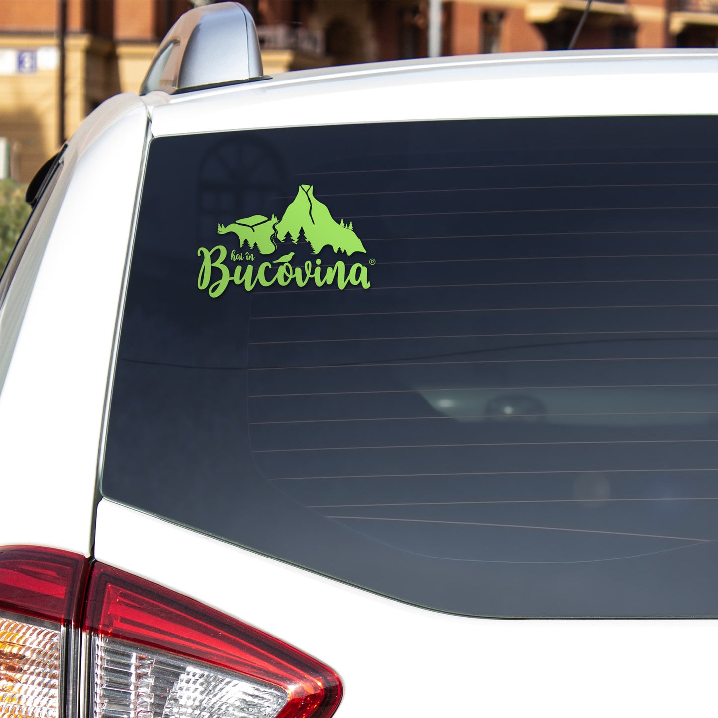 Sticker Hai in Bucovina Original verde