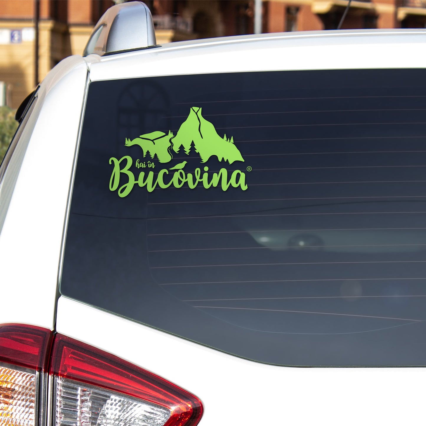 Sticker Hai in Bucovina Original verde