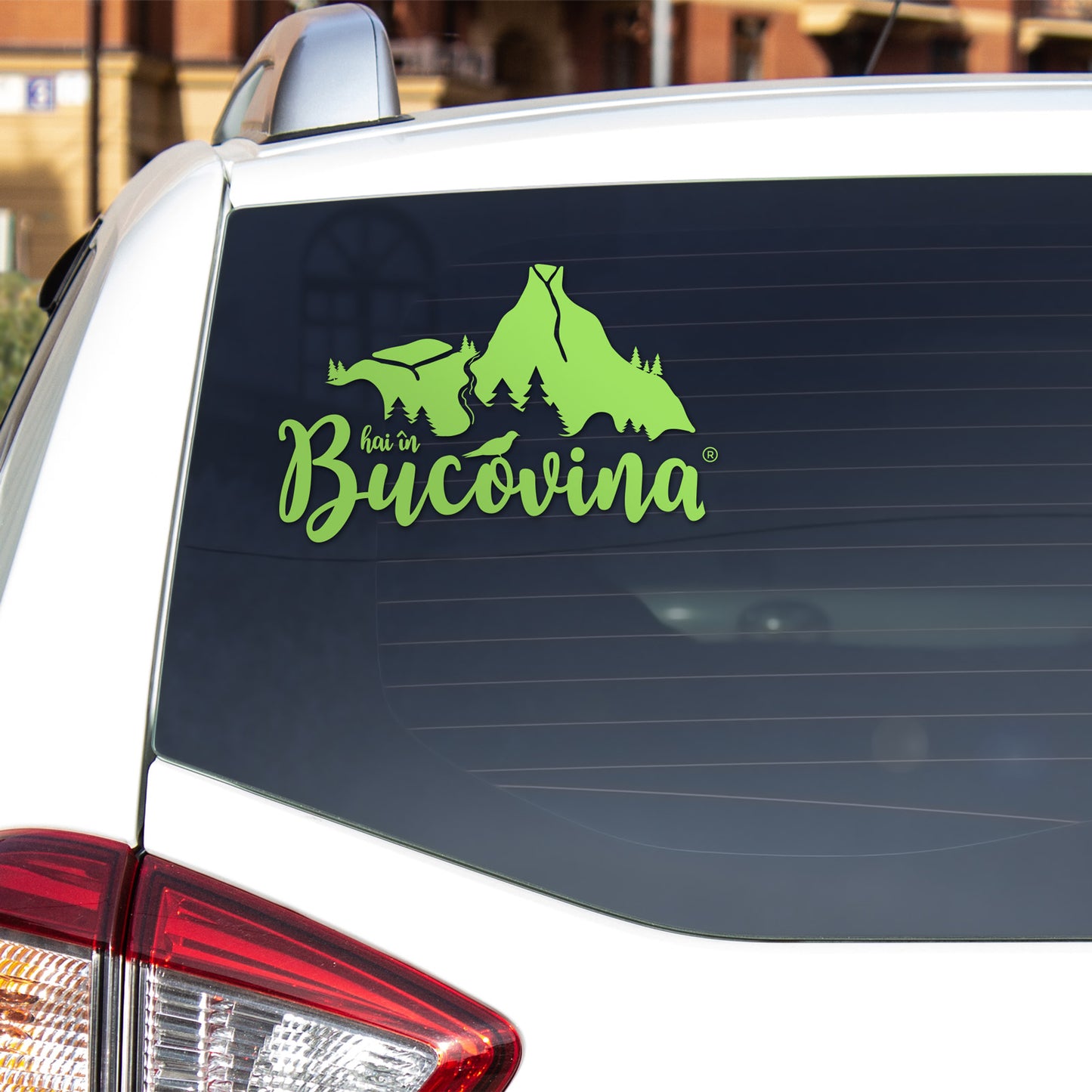 Sticker Hai in Bucovina Original verde